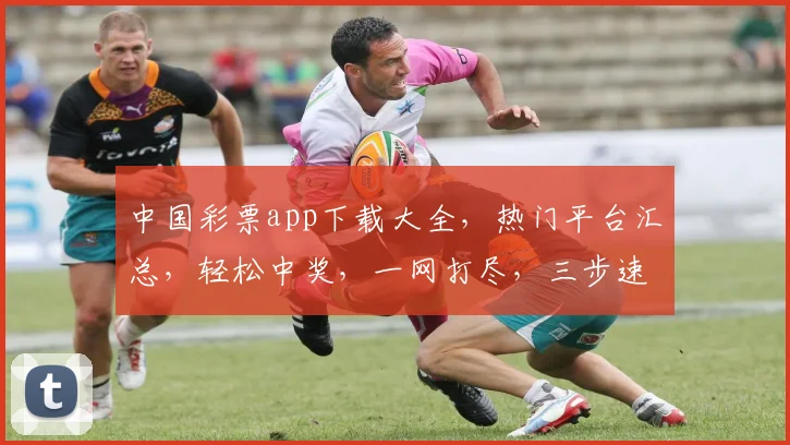 中国彩票app下载大全，热门平台汇总，轻松中奖，一网打尽，三步速成